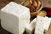 انواع پنیر صبحانه ایرانی و بررسی مشخصات آنها + لیست قیمت انواع پنیر ایرانی