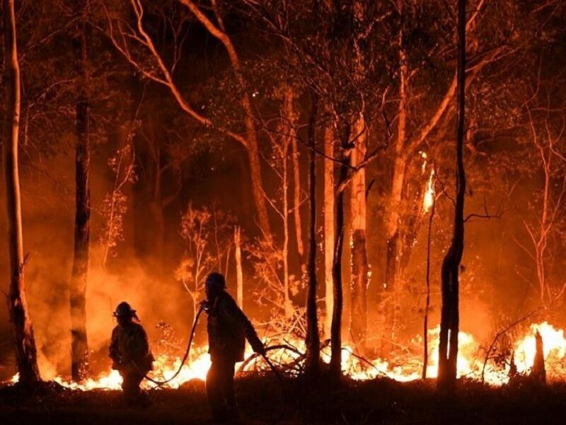 آتش‌سوزی در جنگل‌های مریوان + فیلم