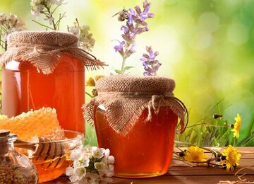 تشخیص عسل طبیعی با سرکه / قیمت عسل جنوب چند؟ + لیست قیمت انواع عسل