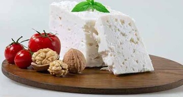 قیمت انواع پنیر امروز ۲۰ آبان ۱۴۰۲ + جدول