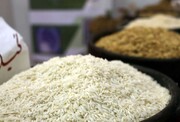 قیمت برنج هاشمی درجه یک کیلویی چند؟ + جدول قیمت برنج مازندران (قائمشهر،گرگان، گیلان و...)