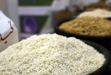 قیمت برنج هاشمی درجه یک کیلویی چند؟ + جدول قیمت برنج مازندران (قائمشهر،گرگان، گیلان و...)