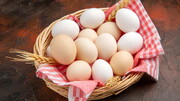 قیمت تخم مرغ بسته بندی شه ۱۱۸ هزار تومان شد! + جدول