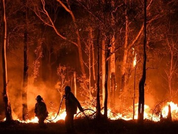 آتش‌سوزی در جنگل‌های مریوان + فیلم