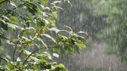 رگبار باران و وزش باد شدید برای برخی استان‌ها