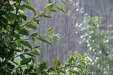 تصاویری از  باران سیل‌آسای بجنورد در چهار شهریور + فیلم
