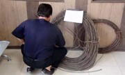 بازداشت عامل قطعی برق در شمال تهران / مرد جوان در دربند غافلگیر شد