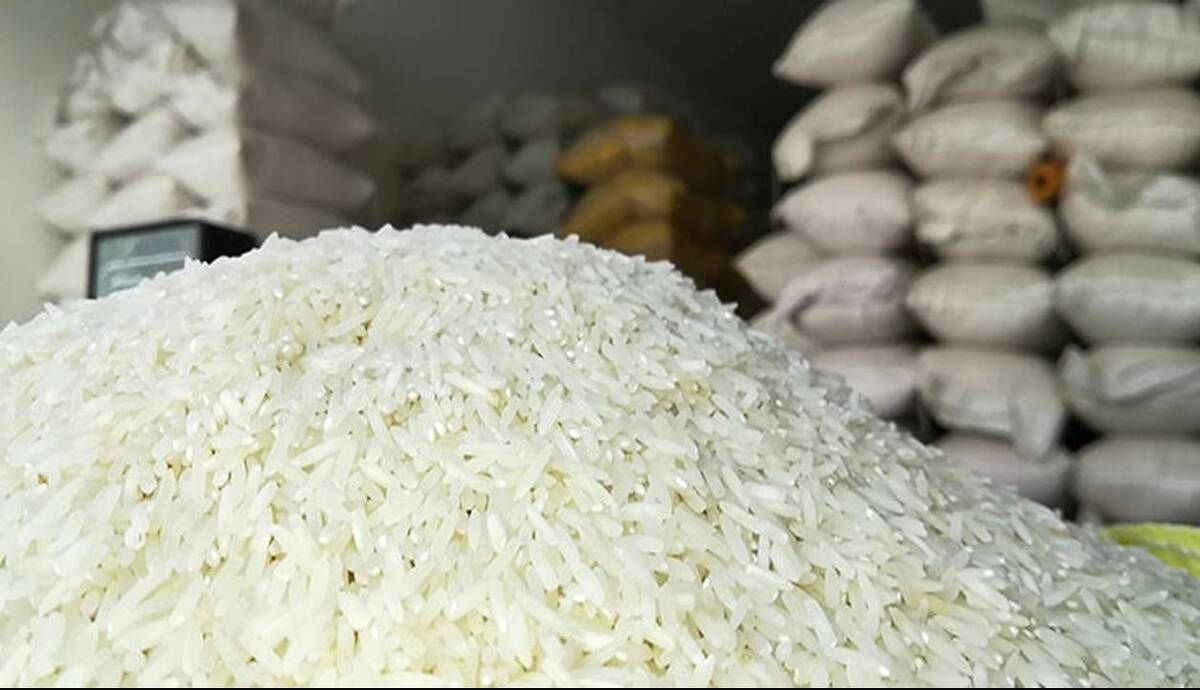 قیمت برنج شمال امروز کیلویی چند؟ + جدول (نیم‌دانه، هاشمی، معطر، دودی  و...)