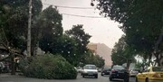هشدار وزش باد شدید در تهران / استحکام سازه ها بررسی شود
