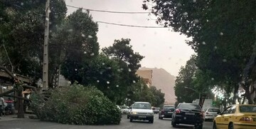 هشدار وزش باد شدید در تهران / استحکام سازه ها بررسی شود