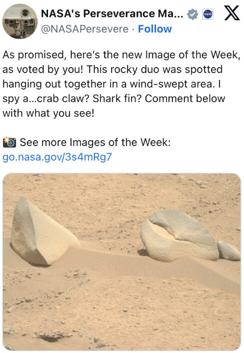 شکار کوسه و خرچنگ در مریخ! + عکس