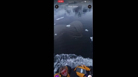 ظاهر شدن اتفاقی یک هیولا در عکس گوگل!