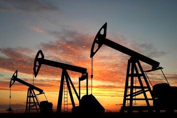 قیمت نفت افزایش یافت / کاهش تولید تا پایان سال ادامه می‌یابد