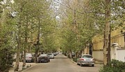 هزینه اجاره خانه در منطقه ۳ تهران چقدر است؟ / از قلهک تا میرداماد