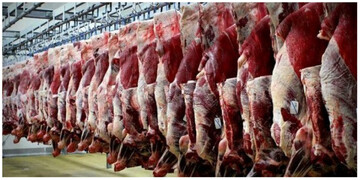 قیمت گوشت گوسفندی چند؟ + جدول (۱۳شهریور)