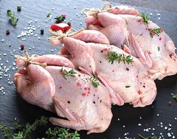 قیمت گوشت مرغ چند؟ + جدول (۱۴شهریور)