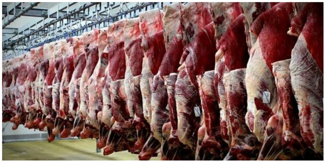 قیمت گوشت گوسفندی چند؟ + جدول (۱۳شهریور)