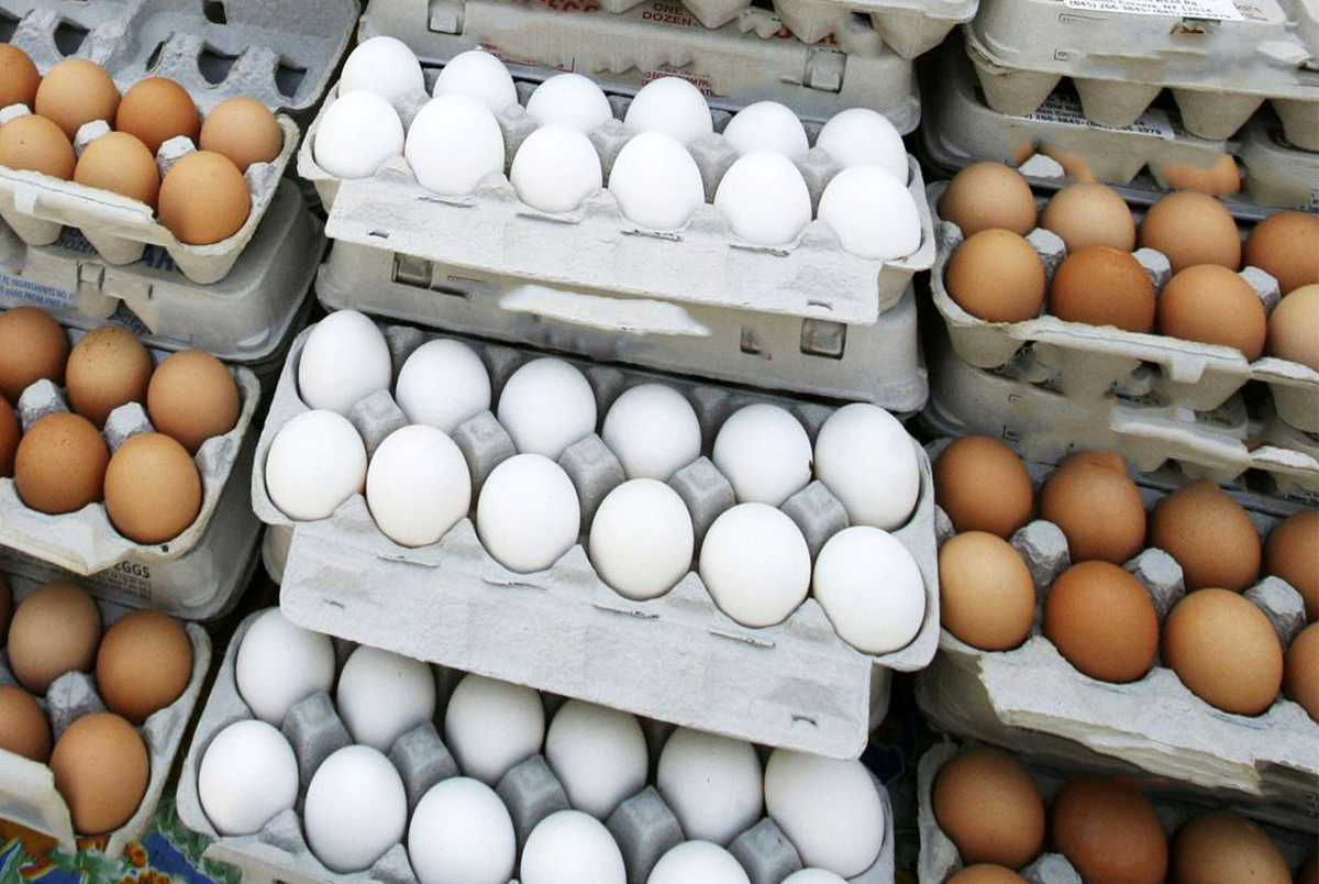 قیمت تخم مرغ در بازار ۴ هزار تومان افزایش یافت + جدول