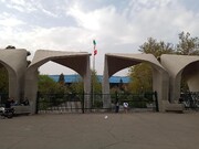 رییس دانشگاه تهران: یک استاد بازنشسته هر سال ادعا می‌کند اخراج شده اما هنوز هم کلاس درس دارد!