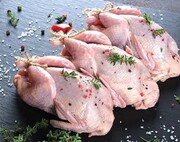 قیمت گوشت مرغ در بازار چند؟ + جدول