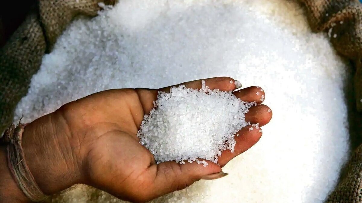 شکرهای وارداتی به بازار رسید / قیمت شکر ارزان می‌شود؟