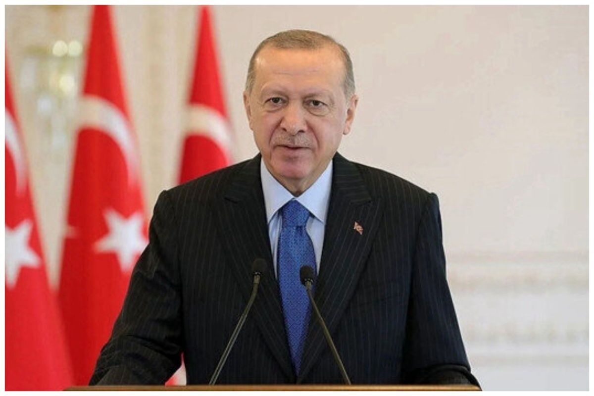 اردوغان: زنگزور می‌تواند از ایران عبور کند