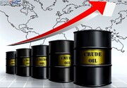 قیمت نفت در آستانه فصل سرما بالا رفت