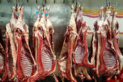 افزایش ظرفیت تولید گوشت قرمز / قیمت‌ها ارزان می‌شود