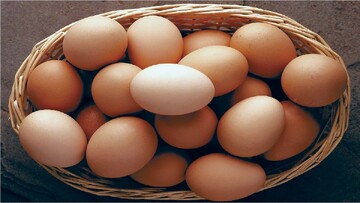 قیمت تخم مرغ ۲۰ عددی ۹۹ هزار تومان شد! + جدول