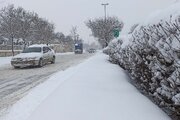 بارش برف در تهران! + فیلم