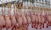قیمت گوشت مرغ امروز / جوجه کباب سبزیجات چند؟ + جدول
