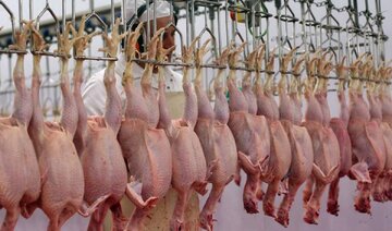 قیمت مرغ امروز ۱۸ دی ۱۴۰۲ در بازار