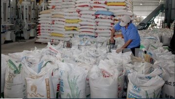 قیمت جدید برنج پاکستانی اعلام شد + جدول مهر ۱۴۰۲