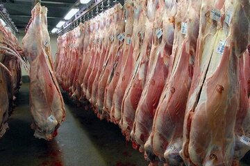 قیمت گوشت گوسفندی گرم تنظیم بازار امروز چند؟ + جدول