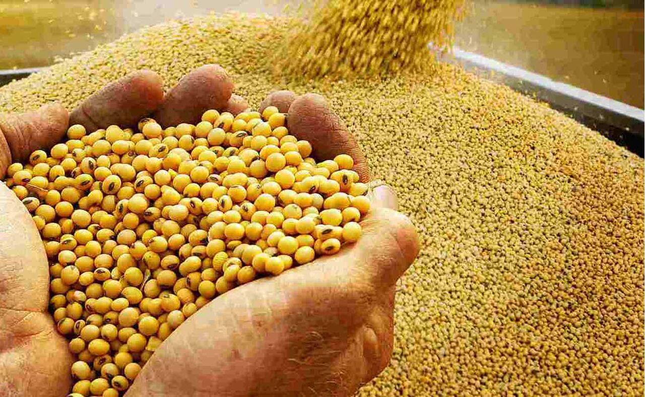 انجمن غلات ایران: نفت بدهید، سویا بگیرید