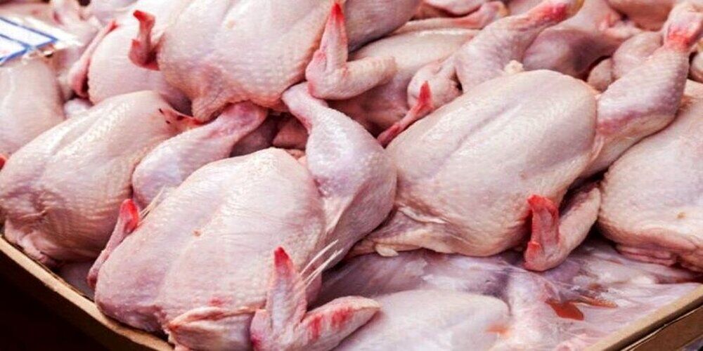 افزایش قیمت مرغ در بازار مشهد/ کمبودی برای عرضه نداریم
