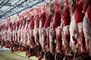 فوری؛ قیمت گوشت وارداتی اعلام شد