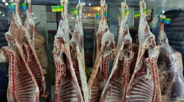 عرضه گوشت در شهریور افزایش داشت؟
