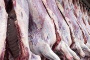 قیمت گوشت گوسفندی امروز کیلویی در بازار چند شد؟ + جدول