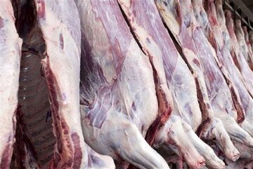 قیمت گوشت گوسفندی شنبه ۲۹ اردیبهشت