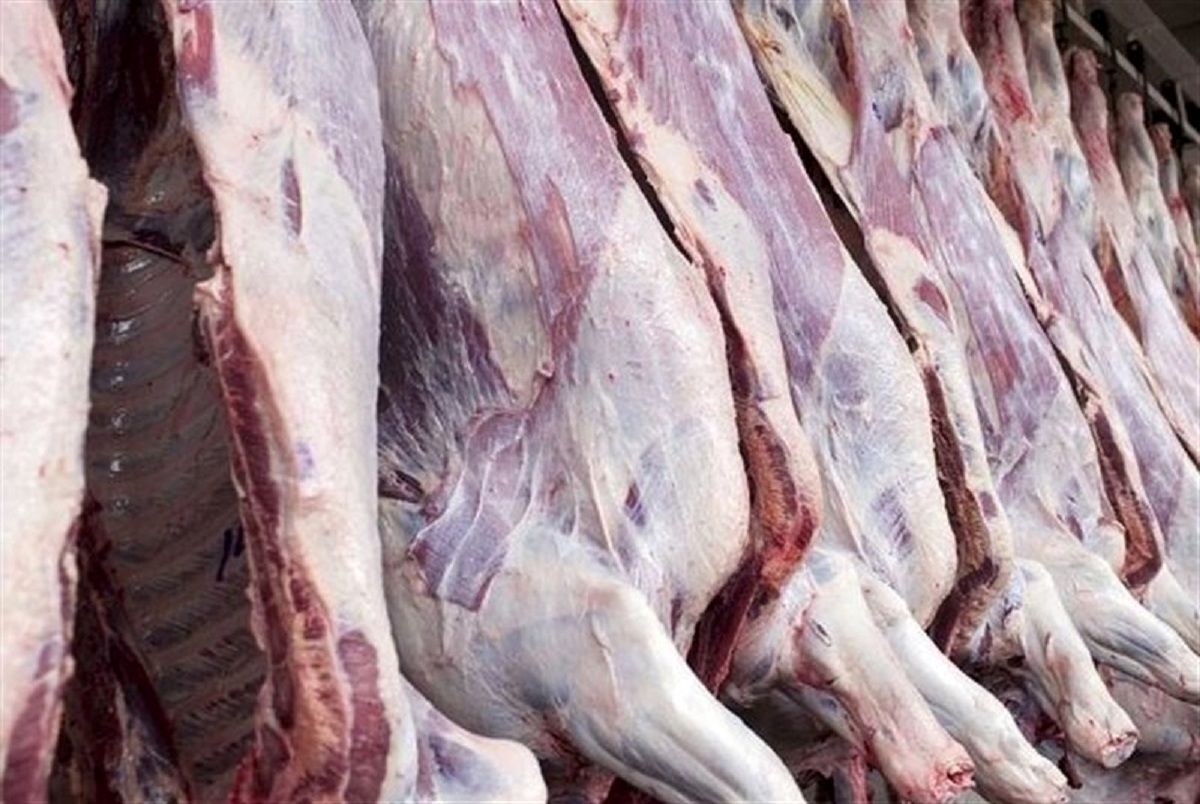 قیمت گوشت قرمز  امروز ۲۰ بهمن ۱۴۰۲ + جدول
