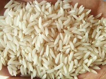 با این ۵ روش برنج خوب را از بد تشخیص دهید