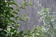 پیش‌بینی وضعیت هوا؛ بارش‌های جدید در راه است