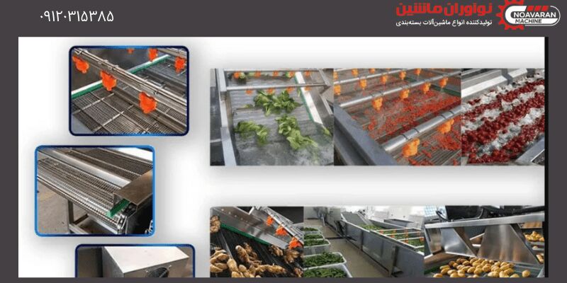 راه اندازی خط تولید با ۵۰۰ میلیون تومان خط تولید سبزی سرخ شده