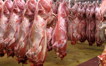 قیمت هر یک کیلو گردن گوسفند ۳۴۴ هزار تومان شد! + جدول