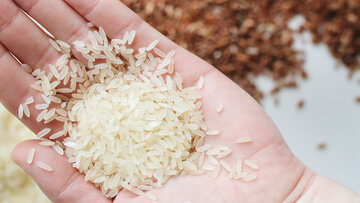 افزایش قیمت خوراکی‌ها در مهر چقدر بود؟ برنج خارجی گران شد؛ برنج ایرانی ارزان