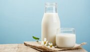 قیمت انواع برندهای شیر در بازار / از شیر گاومیش تا شیرهای ارگانیک گاوی