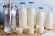 شیر محلی کیلویی چند؟ + لیست قیمت انواع شیر پاستوریزه و طعم دار