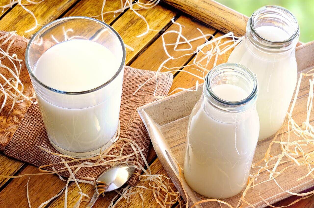خواص عجیب شیر شتر! + لیست قیمت انواع شیر محلی و پاستوریزه