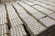 تفاوت تخم‌مرغ ۹ و ۵ هزار تومانی / قیمت جدید تخم‌مرغ  چقدر است؟ + جدول